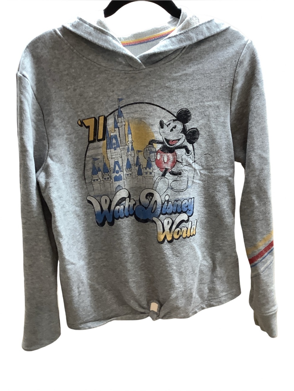 Disney Parks Size Medium Vintage Walt Disney World Hoodie, Used